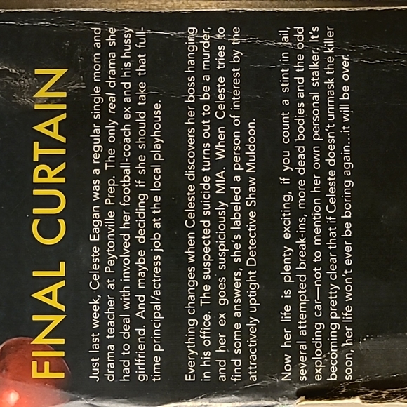 "Person of Interest" by Emery Harper Celeste Eagan Mystery - Picture 12 of 12